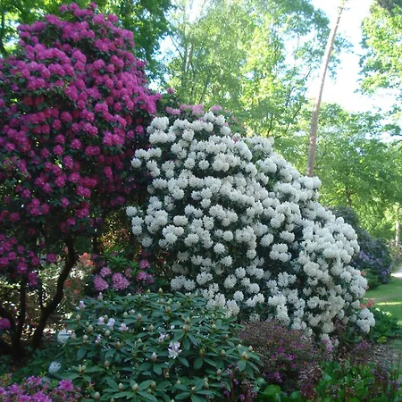 Lejlighed Ferienobjekt Mueritz A11 Graal-Mueritz